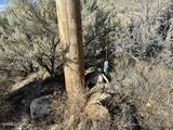12200 Beaumont Trail #17
