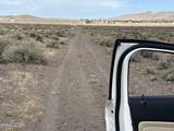 000 Quarter Horse Lane