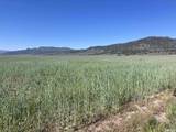 11069 Mosquito Road
