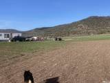 11069 Mosquito Road