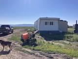 11069 Mosquito Road