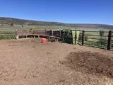 11069 Mosquito Road