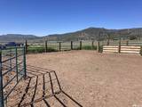 11069 Mosquito Road