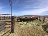 11069 Mosquito Road