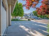 1372 Petar Lane