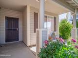 1372 Petar Lane