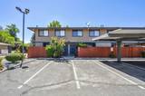 3119 Bristle Branch Drive