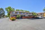 3119 Bristle Branch Drive