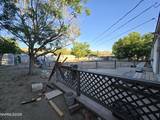 3900 Puffin Street