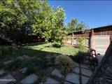 1015 Desert Peach Court
