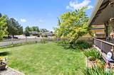 3530 Smoketree Avenue