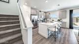 4287 Spotted Leaf Way