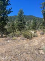 3559 Knob Point Trail #90