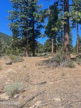 3559 Knob Point Trail #90
