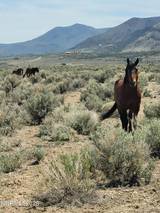 800 Hidden Canyon Road