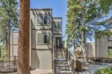 155 Holly Lane