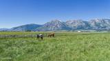 1225 Highway 88