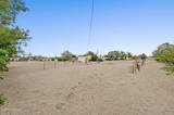 3165 Hollyhock Lane