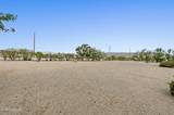3165 Hollyhock Lane