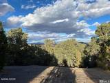 21650 Palamino Road