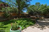 2449 Capriolate Drive