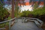 652 Freel Drive