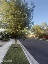 1394 Pin Oak Drive