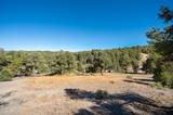 21630 Sazarac Road