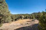 21630 Sazarac Road