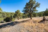 21630 Sazarac Road