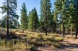 3379 Golf Club Drive #125