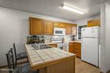 1466 Selmi Drive