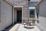 3037 Desert Olive Drive