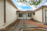 10 Wild Peach Lane