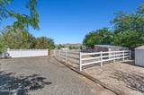 3789 Ponderosa Drive