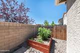 2355 Soprano Drive