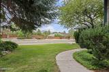 1165 W Winnie Lane
