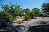 3716 Cypress Street