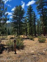 3571 Knob Point Trail #92