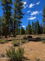 3571 Knob Point Trail #92