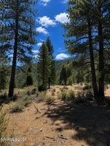 3571 Knob Point Trail #92