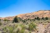 2006 Goldfield Drive