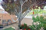 1801 Wind Ranch Road #UNIT A