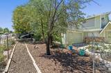 2035 Carlin Street