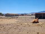 9705 Iroquois Trail