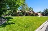 50 Chinchilla Lane