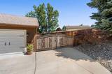 50 Chinchilla Lane