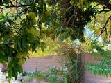 1616 Belarra Drive