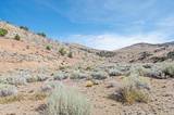 1800 Wrangler Road