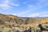 1800 Wrangler Road
